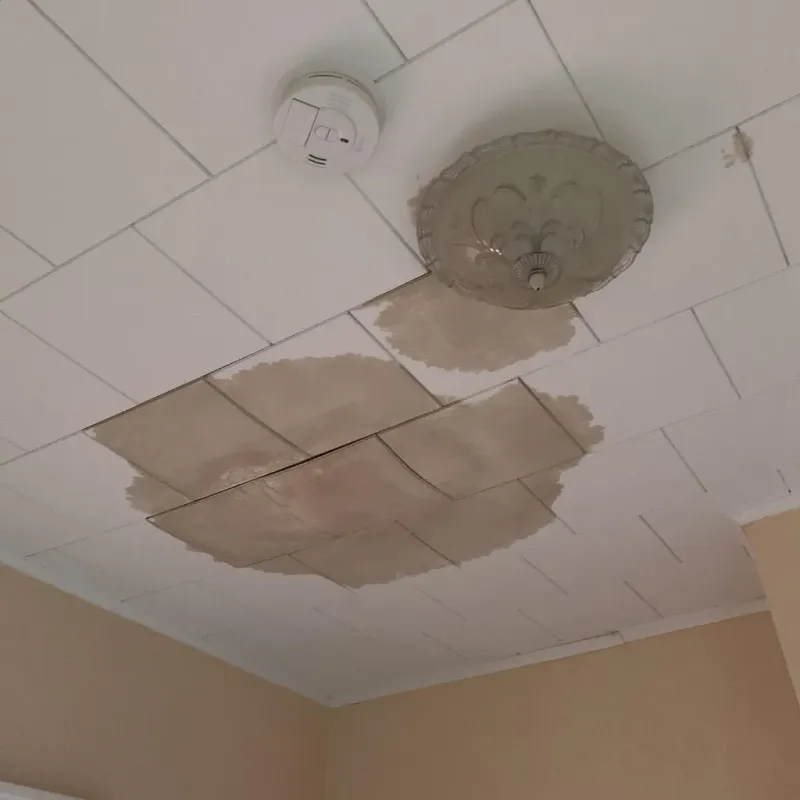 Ceiling Water Damage Repair in Coaling, AL