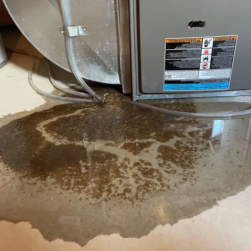 Pipe Burst and Leak Restoration in Coaling, AL