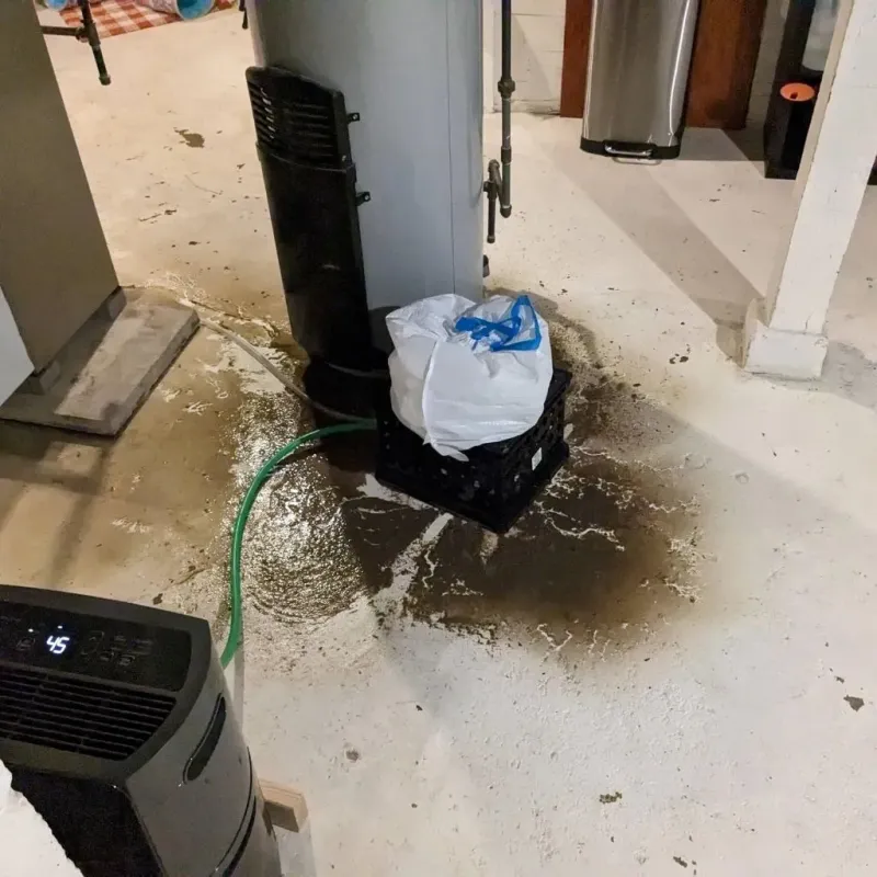 Sewage Backup Cleanup Service in Coaling, AL